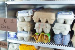 LCP-41